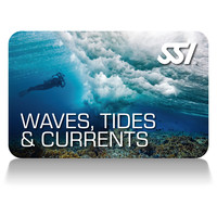 waves ssi