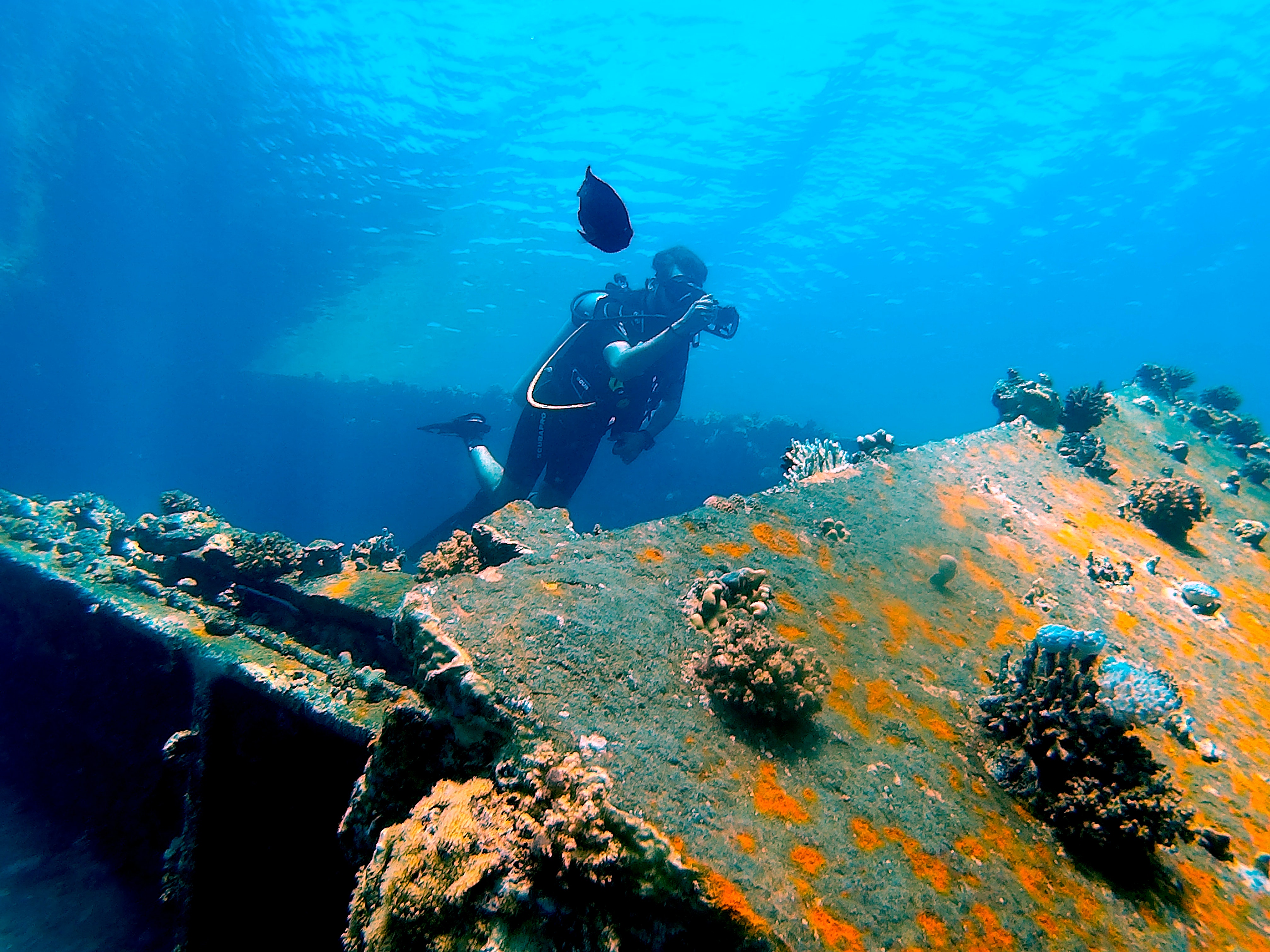 divers next to ship wreck